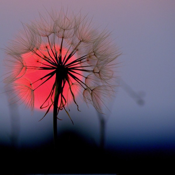 唯美风景手机壁纸