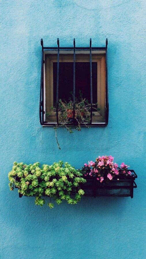 清新高清无水印壁纸